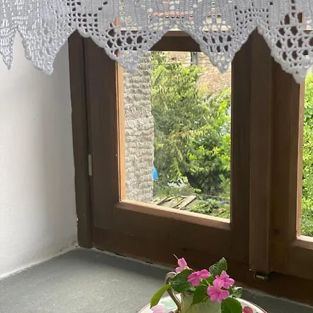בית הארחה House Of Roses *